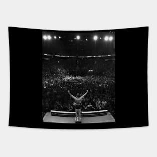 The Notorious MMA : Conor McGregor Tapestry