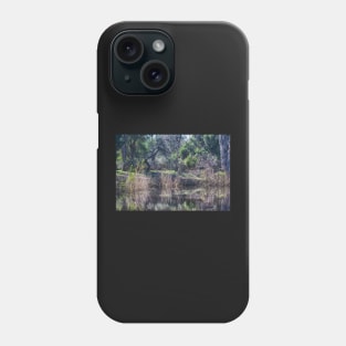 Pond Refelctions Phone Case