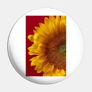 Close Up On Bright Sunflower Against Red Wall Pin