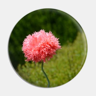 Pink Powder Puff Flower Pin