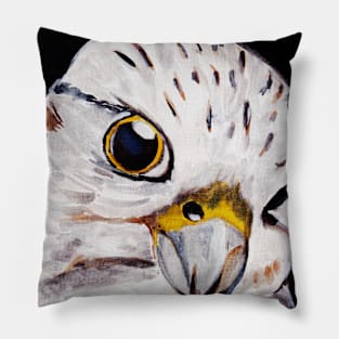 Watercolor - Falcon view Pillow