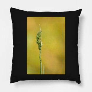 Simplicity in Nature Pillow