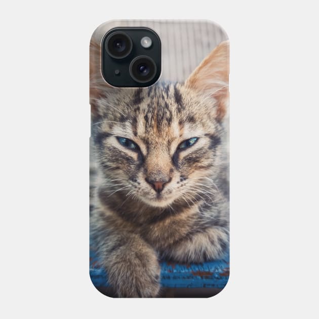 little sphinx Phone Case by psychoshadow