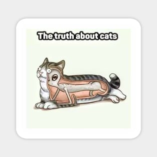 The Truth About Cats Magnet