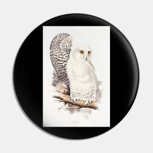 White Owl Pin