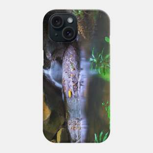 Mountain Stream Phone Case