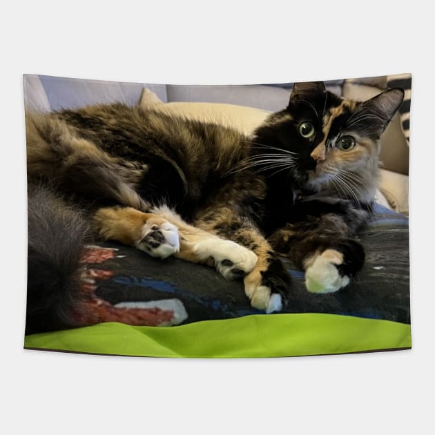 Tortoiseshell Cat Tapestry by KarenZukArt