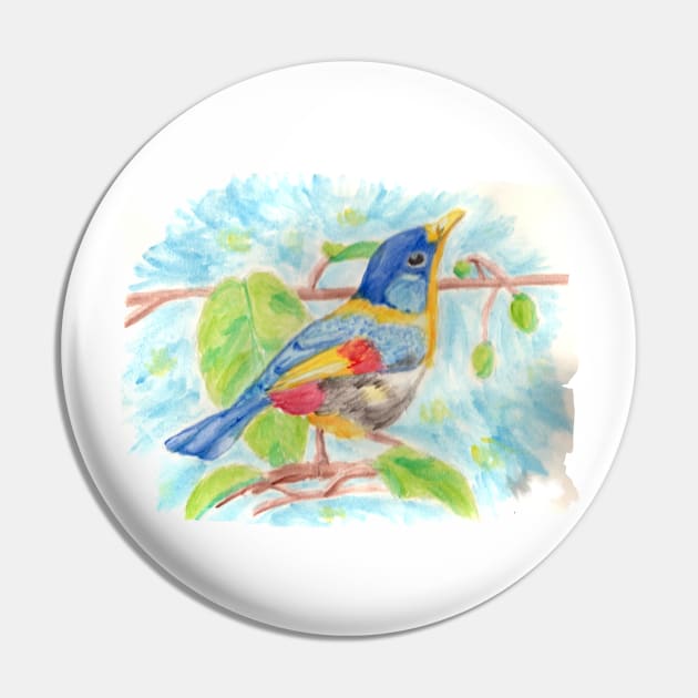 Bird colorfull Pin by Ezhael