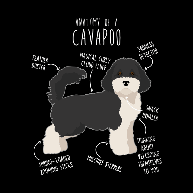 Parti Cavapoo Dog Anatomy by Psitta