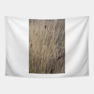 prairie photo Tapestry