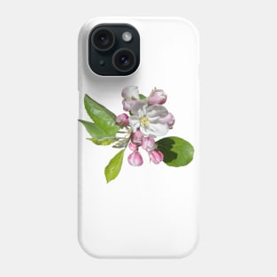 Blossom in delicate shades of pink Phone Case