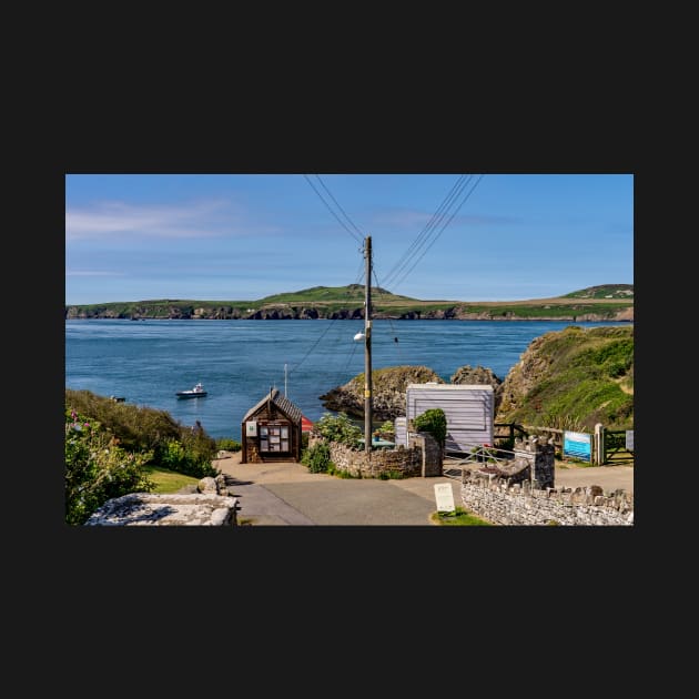 The road to St Justinians Harbour, Pembrokeshire by yackers1