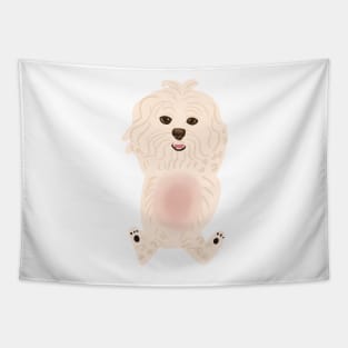 Maltipoo asking for belly rub Tapestry