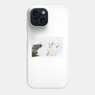 Arctic Fox Phone Case