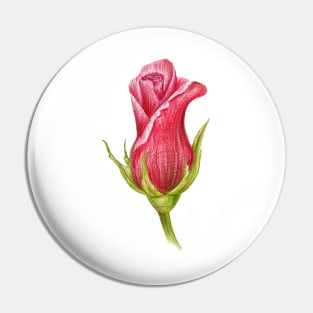 pink rosebud Pin