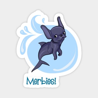 Dogfish Merbie Magnet