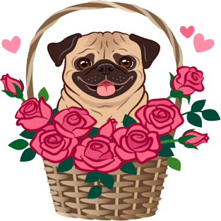 Cute pug dog sitting in a basket Magnet