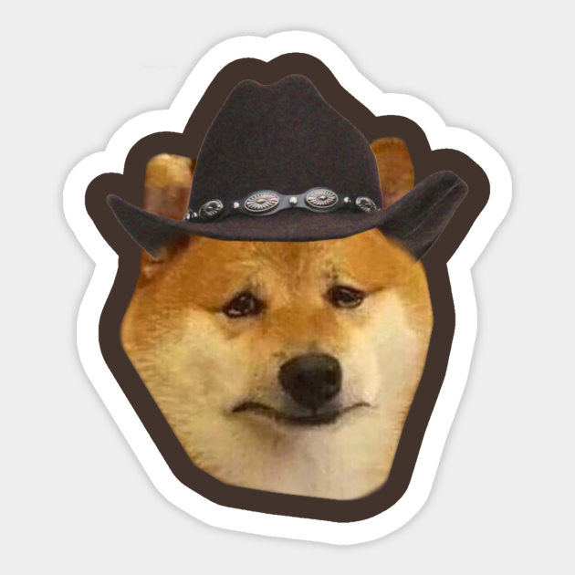 cowboy hat on dog