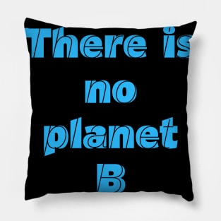 PLANET B 31 Pillow