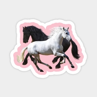 Horses Magnet