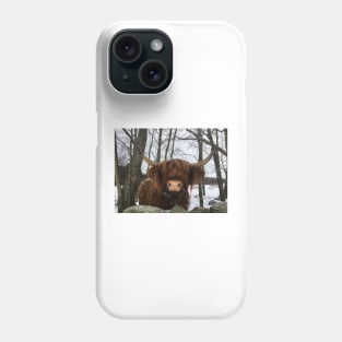 Scottish Highland Cattle Cow 2228 Phone Case