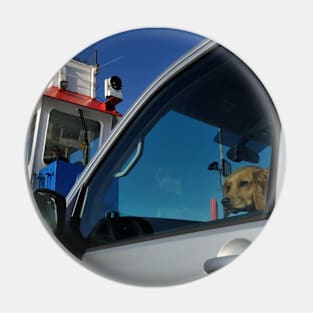 A dog travelling on the ferry from Jura, Scotland Pin