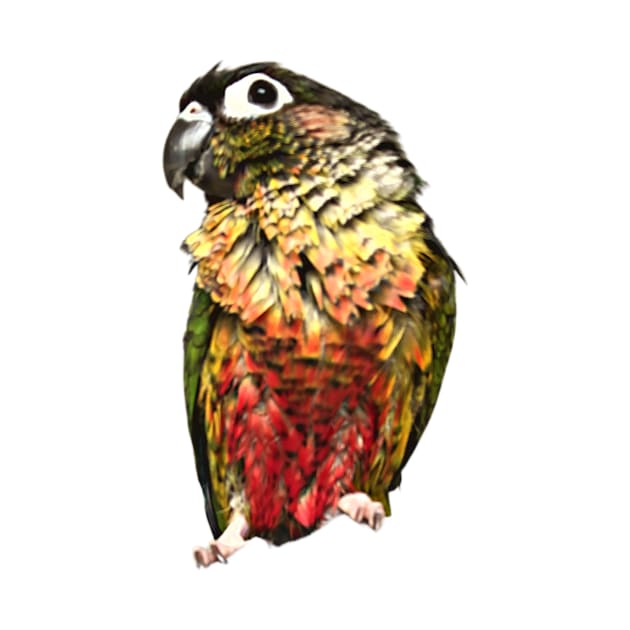 Green Cheek Conure Parrot Bird design, Love for birds by TatianaLG