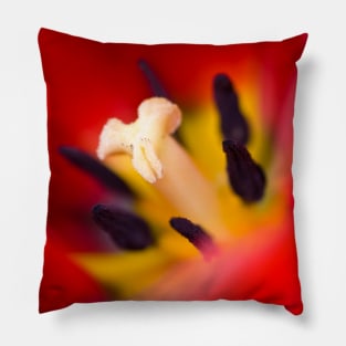 Red tulip Pillow