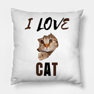 I Love Cat with Kitten Face & Eyes Pillow