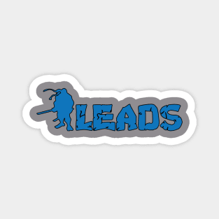 Leads Magnet