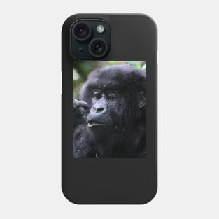 Juvenile Mountain Gorilla, Kwitonda Group, Rwanda, East Africa Phone Case