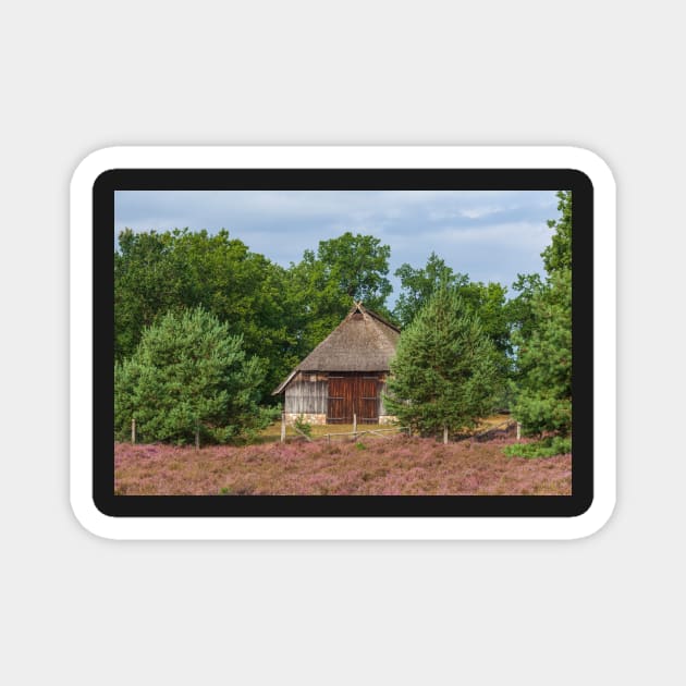 Farmhouse, heathland, heather blossom, Niederhaverbeck Magnet by Kruegerfoto