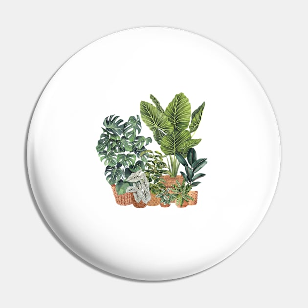 House Plants Illustration 13 Pin by gusstvaraonica