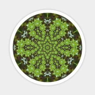 Light Green Bubbles Kaleidoscope Magnet