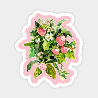 Pink Strawberries Magnet