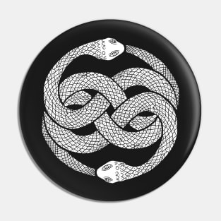 Auryn Pin