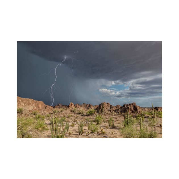 Lightning strike and basalt pinnacles, Arizona, USA (C035/4327) by SciencePhoto