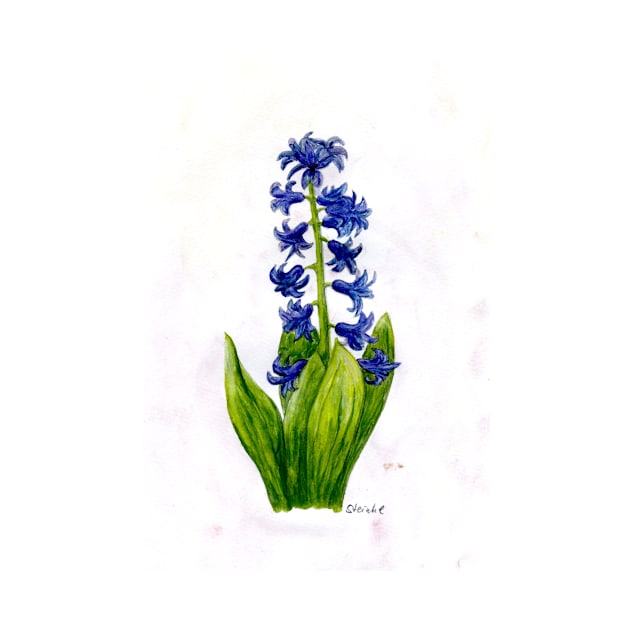 hyacinth by Kunst und Kreatives