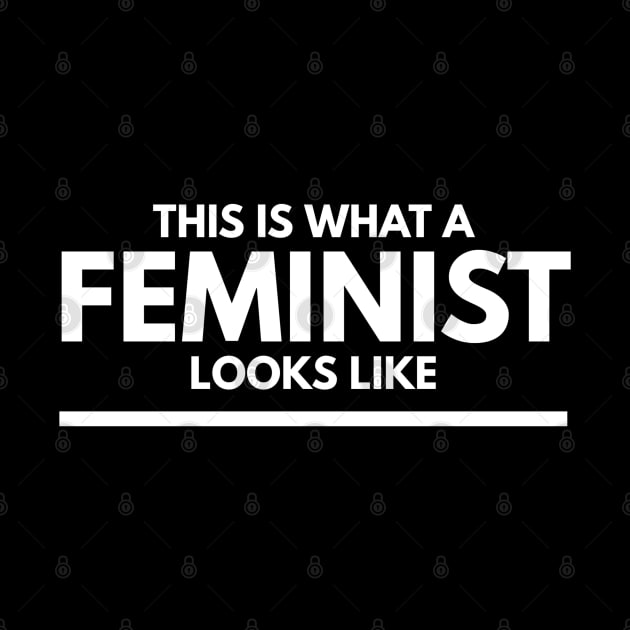 This Is What A Feminist Looks Like - Funny Sayings by Textee Store