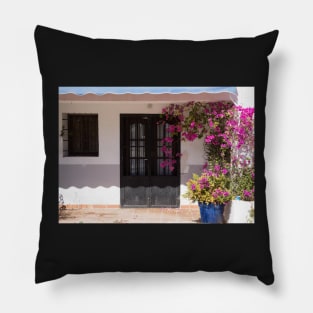 Black door. Pillow