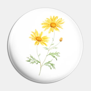 Yellow Margaret daisy watercolor Pin
