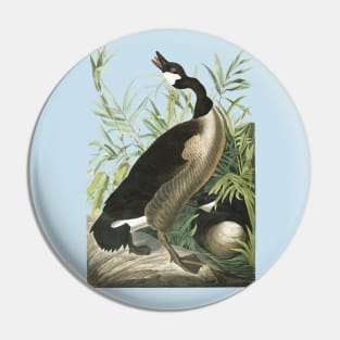 Audubons Canada Goose Pin