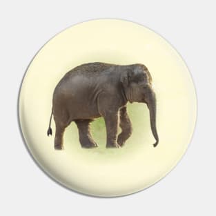 Baby elephant Pin