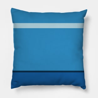 A world-class mixture of Light Blue, Christmas Blue, Prussian Blue and Peacock Blue stripes. Pillow