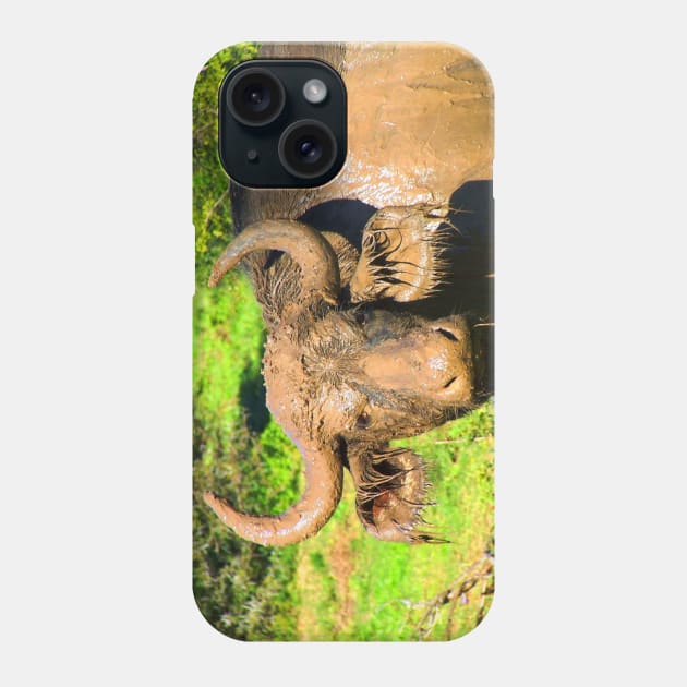 African Wildlife Photography Muddy Buffalo Phone Case by PathblazerStudios