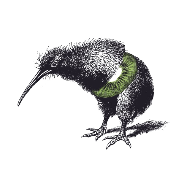 Kiwi Fruit by Toby Wilkinson