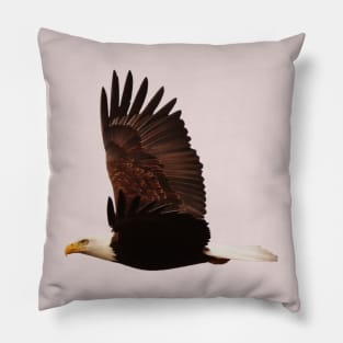 Eagle Flying Pillow