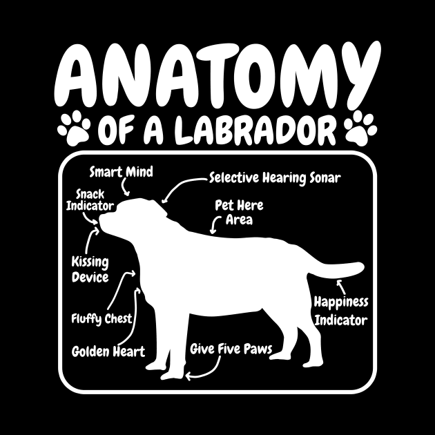 Labrador Dog Anatomy by CreativeGiftShop