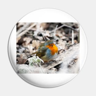 Frosty Robin Pin