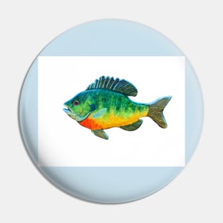 Bluegill panfish Pin